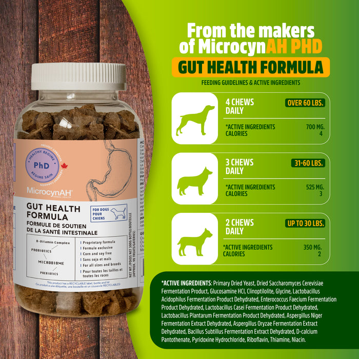 Gut Health Formula Chews - MicrocynAH PHD